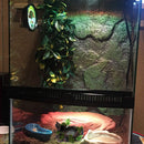 Plant Moss Decorative Resin Roack Bowl Food Water Dish Feeder Plate for Terrarium Reptile Tanks