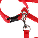 Small Pet Rabbit Harness Traction Rope Pet leash Harness Nylon Random Color Pet Supplies Outdoor