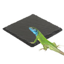 Square Reptile Lizard Turtle Food Bowl Feeding Dish Basin Natural Rock Plate