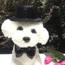 Cute, Adorable, Sweet, Special Hat Elastic Bow Tie Bowknot For Pet Dog & Cat