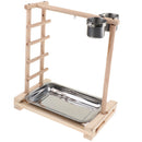 Bird Parrot Playstand Playground Perch Gym Training Stand Bird Toys for Cockatoo Conure Lovebirds Finch
