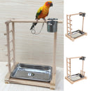 Bird Parrot Playstand Playground Perch Gym Training Stand Bird Toys for Cockatoo Conure Lovebirds Finch
