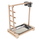 Bird Parrot Playstand Playground Perch Gym Training Stand Bird Toys for Cockatoo Conure Lovebirds Finch