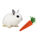 Carrot Shaped Chewing Toy For Rabbit, Hamster, Guinea Pig Make Teeth Healthy