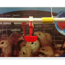 10x Poultry Water Drinking Cups / Chicken, Hen, Duck Goose Automatic Drinker