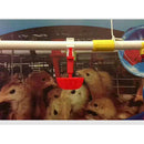 10 Pcs Premium Chicken Waterer Cups Poultry Goose Birds Pigeon Water Bowls