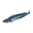 Pets Pillow Chew Bite Supplies for Cat/Kitty/Kitten Fish Cat Toy Catnip Toys