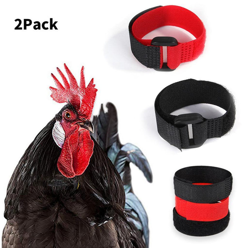 Set of 2 Chicken Collar Anti Crow Prevent Chicken from Screaming for Duck
