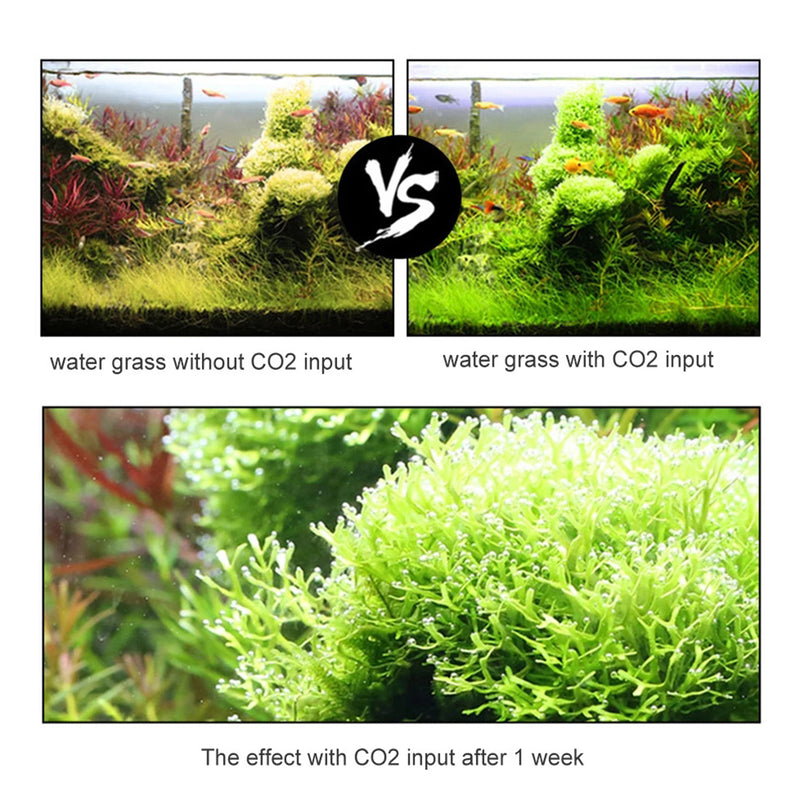 DIY Aquarium Planted Tank CO2 System Kit Tube Valve Guage Bottle Cap, Provide