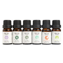 6Pcs Pure & Natural Essential Oil Humidifier Aromatherapy Fragrance 10ml Set