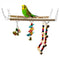 Wooden Stairs Swing Ladder Birds Parrots Bridge Climb Colorful Beads Pet Toys