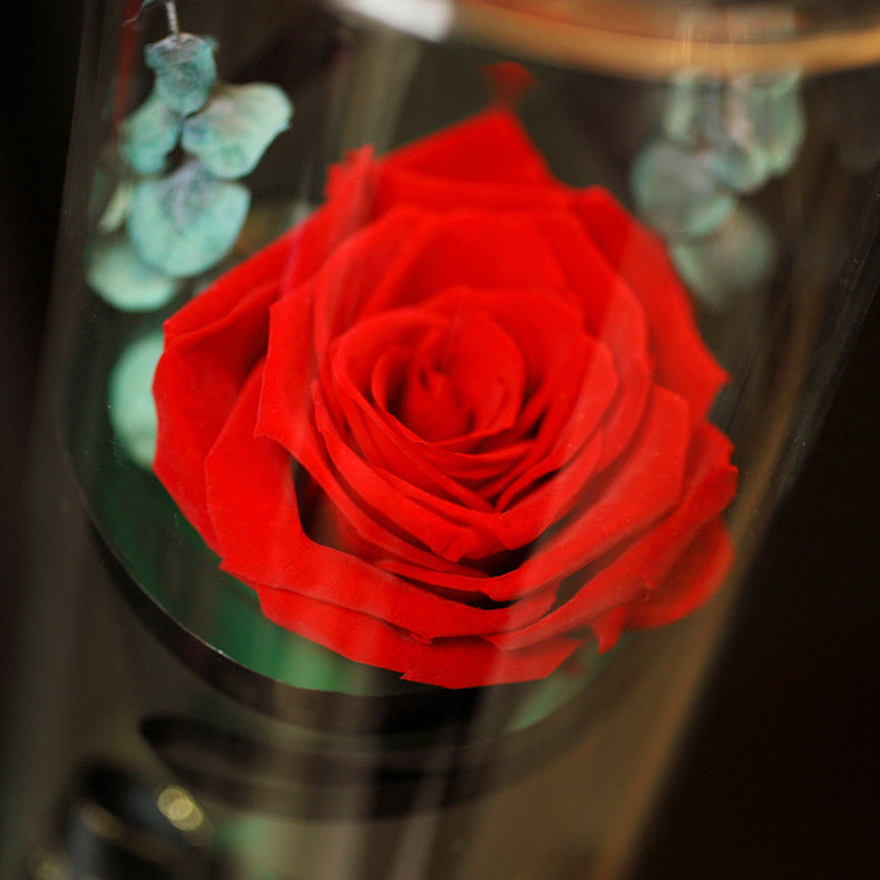 Para Ella Preserved Fresh Rose Flower with Fallen Petals in Glass Dome on a Wooden Base Decorations