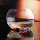 Round Clear Glass Vase Fish Tank Ball Bowl Flower Planter Terrarium Home Decor