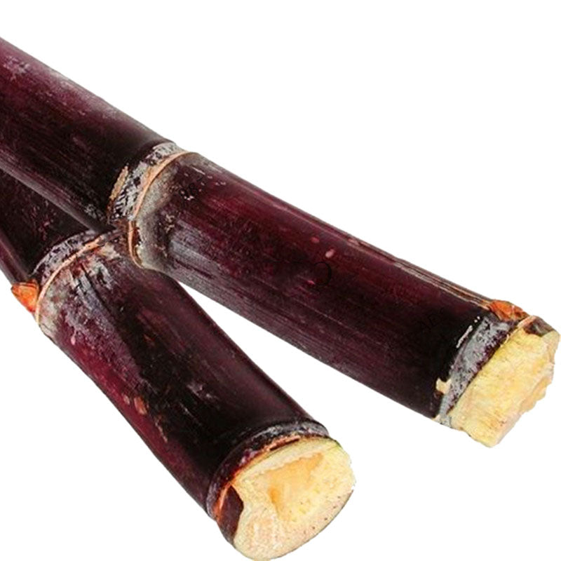 Egrow 100PCS/Pack Sugarcane Seeds Succulent Sugar Cane Bonsai Delicious Vegetable And Fruits Garden Plant