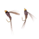 40Pcs Dry Flies Bass Salmon Trouts Flies with Waterproof Fly Box for Freshwater Saltwater Fishing