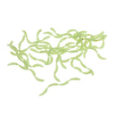 Fishing Luminous Maggots Lifelike Artificial Grub Worm Night Glow Soft Baits