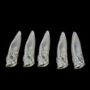 5pcs Unpainted Popper Fishing Lures Blank Crankbaits DIY Fishing Body 9cm