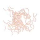 120Pcs/box Soft Fishing Lures Maggots Grubs White Worms Smell Baits Vivid