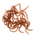 20Pcs/box Artificial 9cm Earthworm Clam Worms Soft Baits Smell Fishing Lures