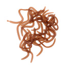 20Pcs/box Artificial 9cm Earthworm Clam Worms Soft Baits Smell Fishing Lures