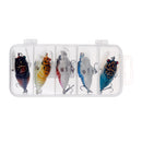 5Pcs Cicada Shape Hard Fishing Lure Artificial Insects Lures Crankbaits with VMC Hooks