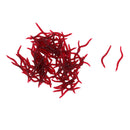 100pcs Sea Earthworm Lures Soft Fishing Lures Worm Lures Artificial Baits Swimbaits Suitable for Sea Fishing and Freshwater