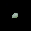 100Pcs Plastic Fishing Beads Lure Luminous Sea Floating Lure Set With Box