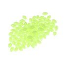 100Pcs Plastic Fishing Beads Lure Luminous Sea Floating Lure Set With Box