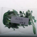 10Pcs Soft Fishing Lure Long Tail Frog Lure Saltwater & Freshwater