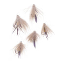 Fly Fishing Trout Flies - MUDDLER MINNOW STREAMER - 5 Wet Flies - for Trout, Bass, and Other Freshwater Fish
