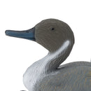 Duck Decoy Lifelike Pintail Hunting Bait Floating Decoy Garden Decor Ornament XPE Environmental Material Durable to use