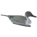 Duck Decoy Lifelike Pintail Hunting Bait Floating Decoy Garden Decor Ornament XPE Environmental Material Durable to use