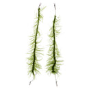 2Pcs Carp Fishing Hair Rigs Braided Line 8