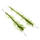 2Pcs Carp Fishing Hair Rigs Braided Line 8