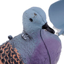 Hunting Pigeon Decoy Garden Plant Protector & Decoration Hunting Birds Baits