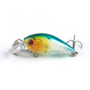 5x Artificial Grasshopper Lures and Crankbait Insect Lures Sea Fishing Tackle Hard Baits with Tackle Box
