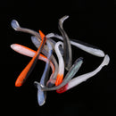 10 Pcs Soft Fishing Lure T Tail Fishing Lure Worm Lures Swimbait 6cm 1.5g Corrosion resistance, durable to use
