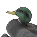 Duck Decoy Lifelike Drake Hunting Bait Floating Decoy Garden Decor Ornament XPE Environmental Material Durable to use
