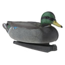 Duck Decoy Lifelike Drake Hunting Bait Floating Decoy Garden Decor Ornament XPE Environmental Material Durable to use