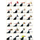 72pcs Fly Fishing Flies Trout Lures Hooks Dry/Wet Artificial Baits with Box