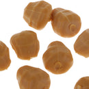 10pcs/pack Pop Up Baits Tiger Nuts Fishing Topwater Imitation Baits Fishing Tackle for Carp/Trout/Bream