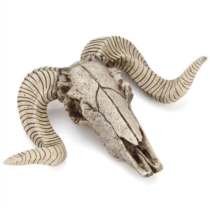 Skull Sheep Head Realistic Animal Resin Wall Art Sculpture Wall Hanging Decorations