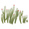 Miico FX82030 2PCS Wall Sticker Hand-Painted Cactus Creative Decorative Wall Sticker Home Decoration Sticker