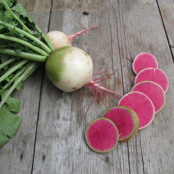 Egrow 100Pcs/Pack Red Radish Seeds Garden Kitchen Vegetable Plants White Radish Seeds