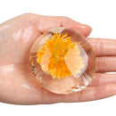 Handmade Cleansing Flowers Soap Transparent Amino Acid Natural Organic Pure Soap