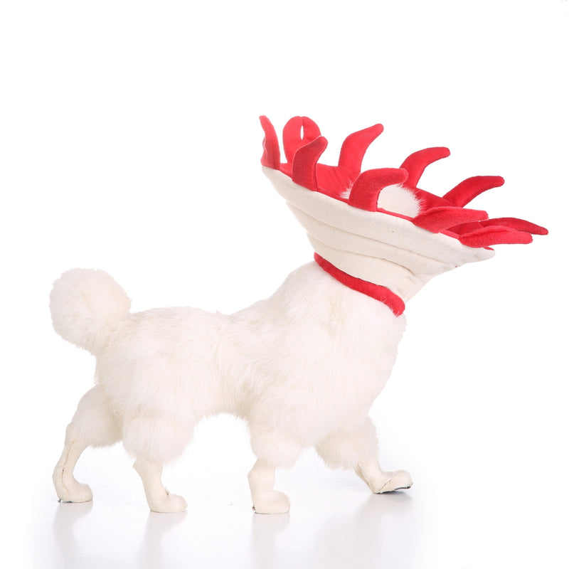 Shape Dog Cat Collar Pet Elizabeth Circle Wound Healing Medical Anti-Bite Ring Protection Shield