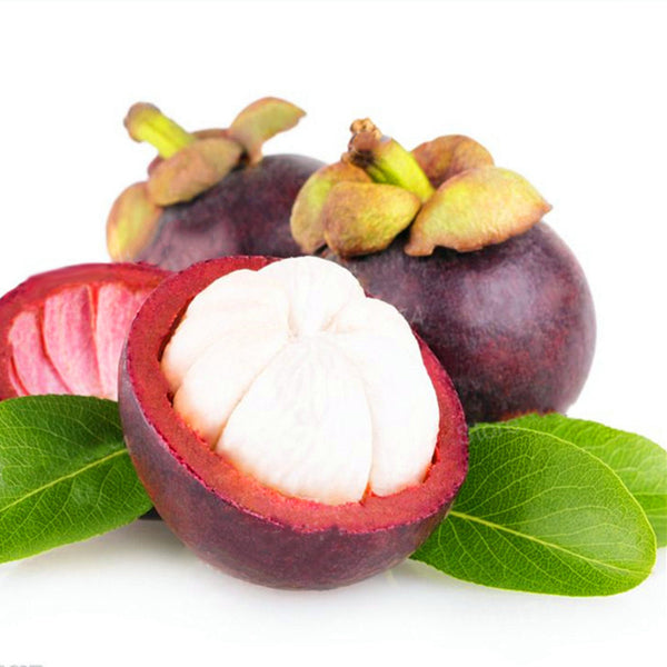 Egrow 50Pcs/Pack Mangosteen Seeds Tropical Sour Sweet Fruit Seeds Garden Plants Tree Bonsai