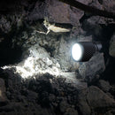 NiteFox K1 XP-G2 60Lumens Single Mode Outdoor Portable EDC LED Flashlight Keychain Light AAA