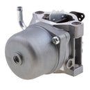 Carburetor Replace for BRIGGS & STRATTON 590399 796077 Carb Engine