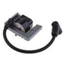 Lawn Mower Engine Ignition Coil Module Replaces for Tecnamotor